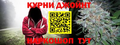 сатива Апшеронск