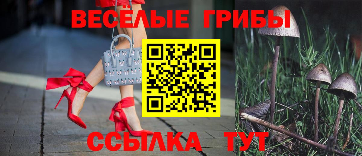 Псилоцибиновые грибы мицелий Апшеронск